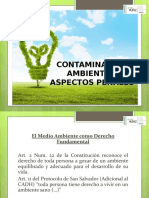 Presentacion Delitos Ambientales