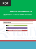 Commitment Management in Sap