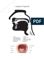 The Organs of Speech