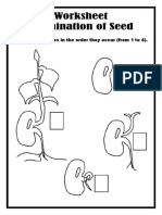 Worksheets Germination of Seed