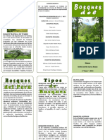 Triptico Bosques Del Peru