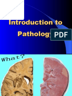 Introduction To Pathology