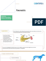 Fisiopatologia Pancreatitis Canina