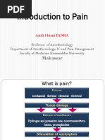 Introduction To Pain: Makassar