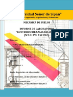 Informe Decontenido de Sales Solubles