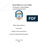 Etapas Del Proceso Judicial en Perú