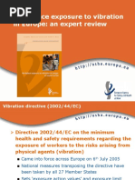 Workplace Exposure To Vibration in Europe: An Expert Review