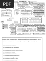 Mapa Conceptual DM1 Pediátrico