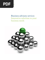 SG Audit Business Advisory Services Brochure