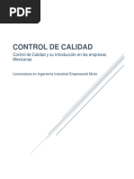 Ensayo - Control de Calidad