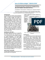 Evaluación de Poliacrilato de Sodio y Potasio en La Germinación de Rábano