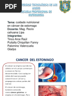 Cuidado Nutricional Cancer de Estomago