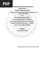 Gestión de Procesos para La Planta Purificadora de Agua Las Peñas