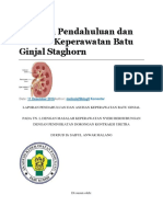 Laporan Pendahuluan Dan Asuhan Keperawatan Batu Ginjal