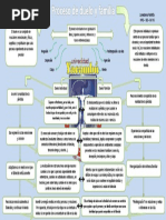 Mapa Conceptual Sobre El Proceso Del Duelo y La Familia