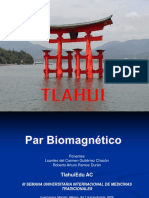 Par Biomagnetico