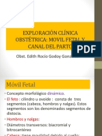 Movimiento Fetal