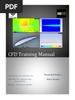 Manual CFD