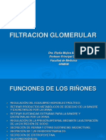 2.1.filtracion Glomerular-16