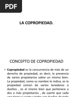 Derechos Reales de Garantía. Copropiedad