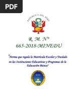 RM 665 2018 Minedu Anexo Lineamientos Matricula Escolar 20191