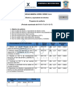 Programa de Auditoria