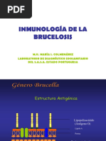 Inmunologia Brucelosis