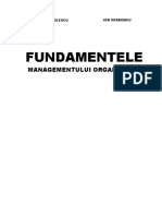 Fundamentele Managementului Organizatiei