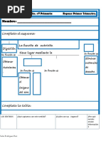 4 Primaria 1 Cono