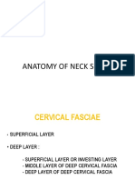 Neck Space 2