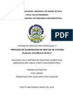 Informe de Practicas Preprofesionales 1 de David Arocutipa Coaquira