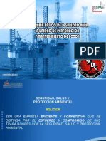 Programa Básico de Seguridad PEMEX-SSPA