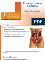 K1 - Fisiologi Sistem Urinaria blokNU-15