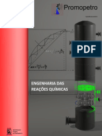 Engenharia Das Reações Químicas