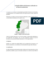 Evaluación de La Huella Hídrica Del Banano Cultivado en El Litoral Ecuatoriano