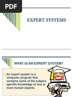 Expert System