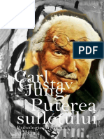 Carl Gustav Jung, Puterea Sufletului - Psihologie Individuala Si Sociala