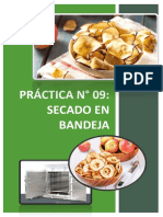 Informe Secado en Bandeja