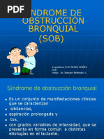 SOB - PPT.PPT Versión 1