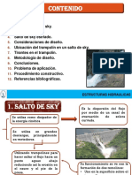 Salto en Sky