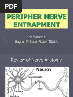 Peripheral Nerve Disorders (Dr. Ken)