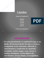 Lipidos