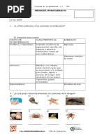 Examen Animales Invertebrados 4 Basico