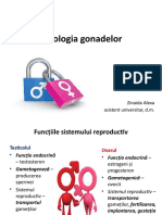 Patologia Gonadelor