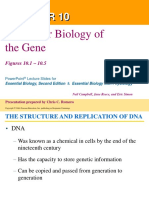 Molecular Biology of The Gene: Figures 10.1 - 10.5