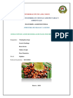 Informe de Extracción de Aceite de Palma