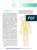 Benninghoff & Drenckhahn. Compendio de Anatomía 2010