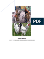 Gallinas Agroforestal 1