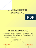 Metabolismo Energetico PDF