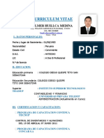 CV Olmer 2018 PDF